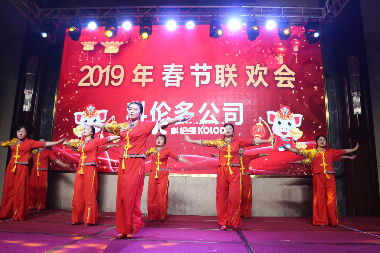 凱歌高奏辭舊歲，豪情滿(mǎn)懷迎新年 （科倫多隆重舉行2019春節聯(lián)歡晚會(huì )）