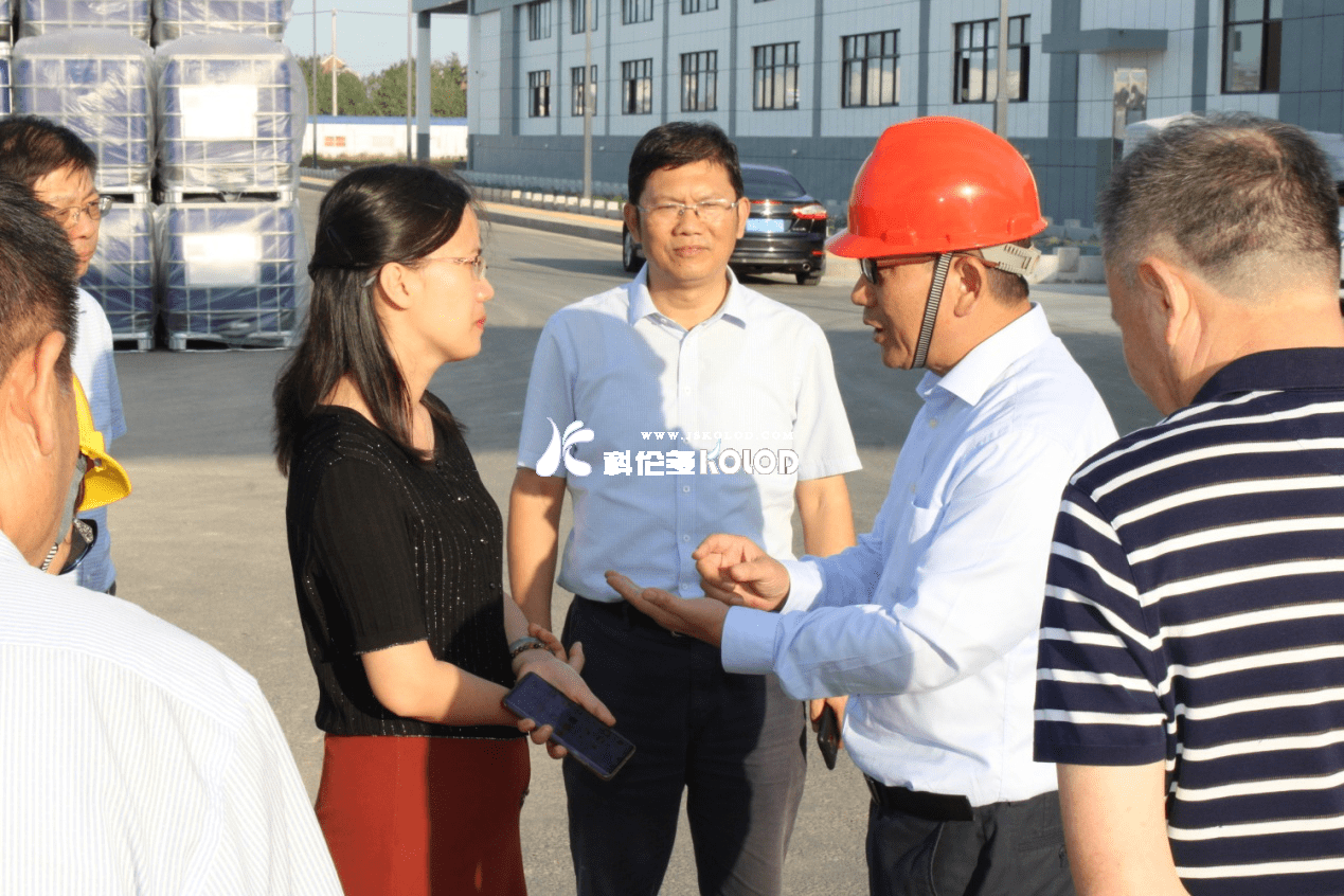 灌云縣委副書(shū)記、代縣長(cháng)曹明麗蒞臨科洛吉公司檢查指導工作